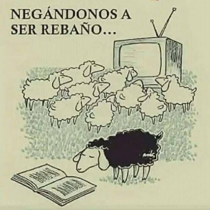 Amor por los libros (@amorenloslibros) on Twitter photo 