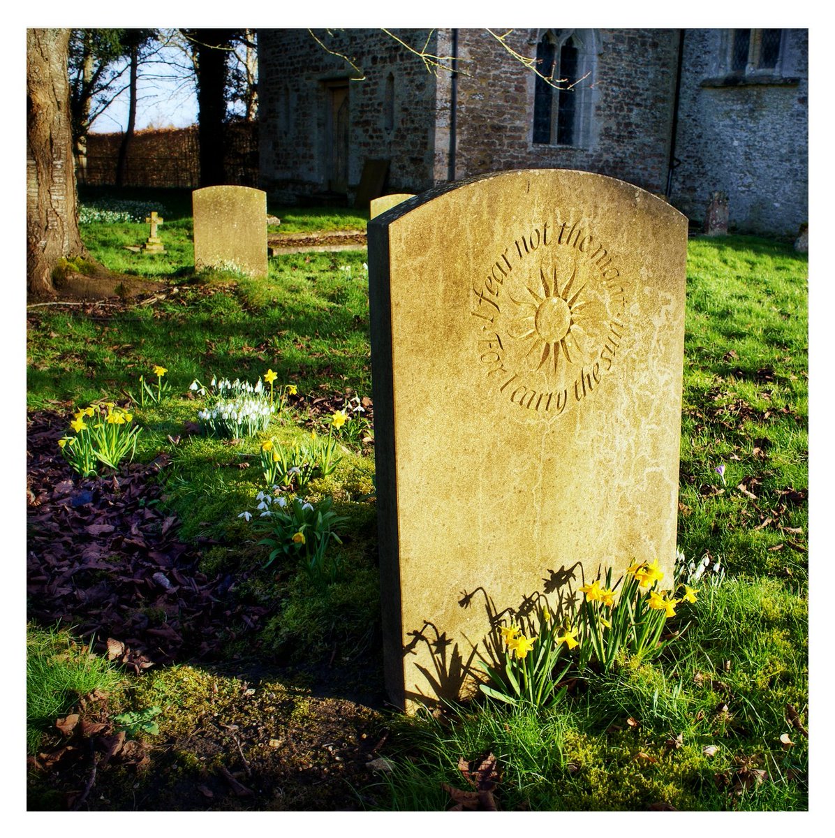 Solivagant tweet media