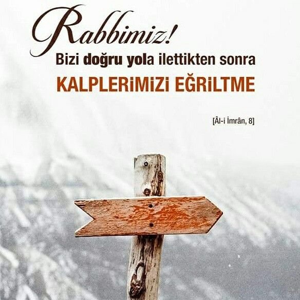 ERDIBALIBEY's tweet photo. 🔸Rabbimiz!
Bizi doğru yola ilettikten sonra KALPLERİMİZİ EĞRİLTME

📚 Âl-i İmrân Sûresi / 8 https://t.co/Hx8dwU29vQ