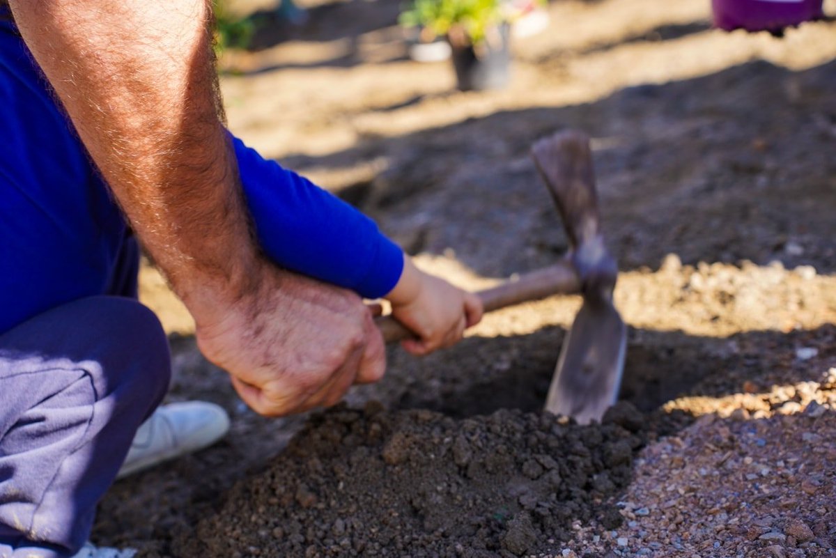🌿 El Ayuntamiento de Motril y la Asociación de Vecinos de La Nacla han realizado esta mañana la plantación de más de medio centenar de árboles y talleres de lombricompostaje y macetas sostenibles, fomentando la concienciación ambiental y el reciclaje entre los vecinos ♻️
