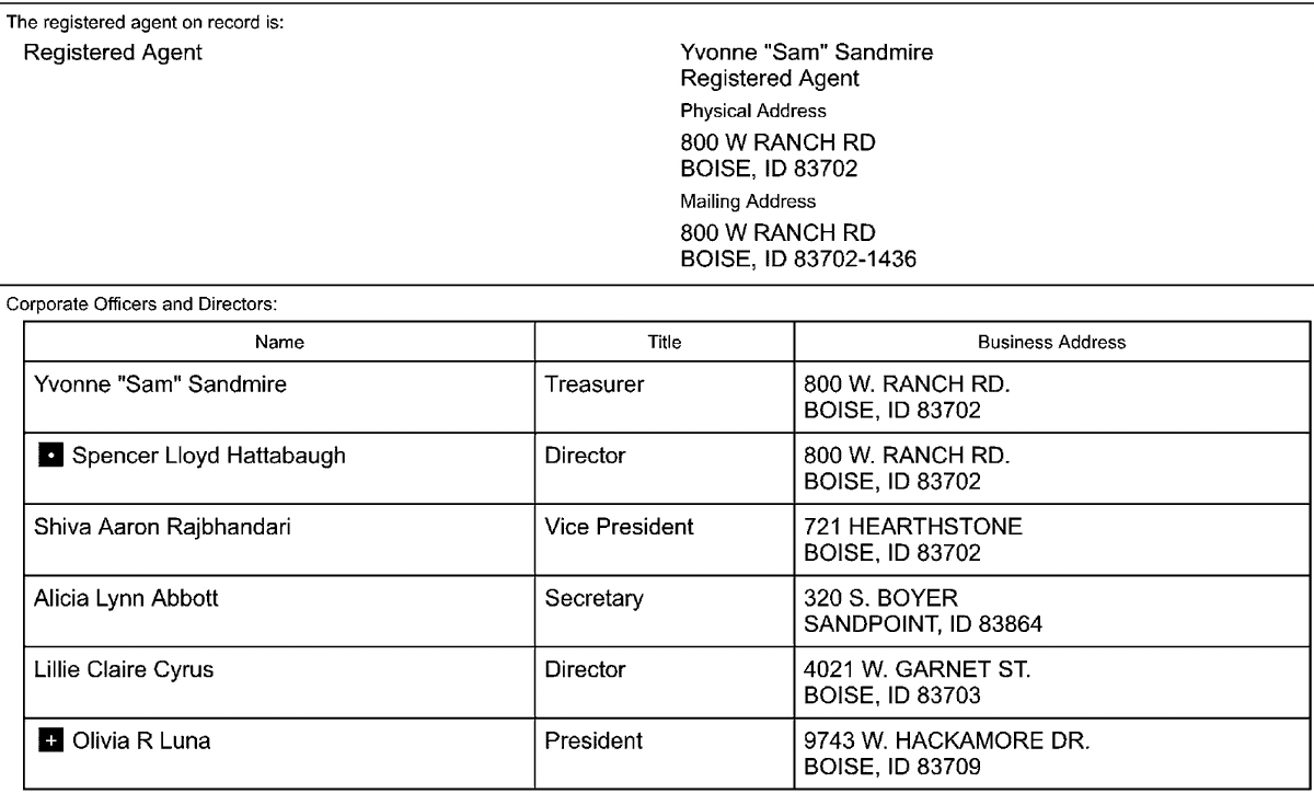 casey_whalen's tweet image. List of corporate officers for Babe Vote.

#idpol #idleg