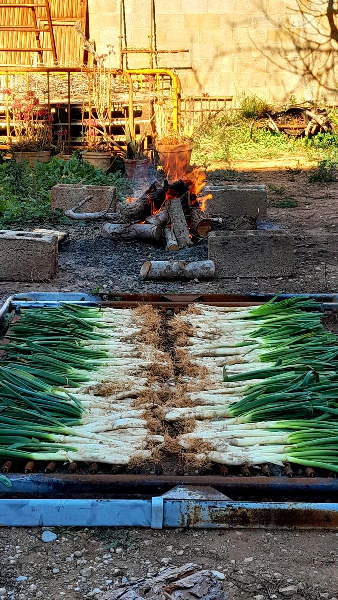 Casal Popular de Nules tweet media