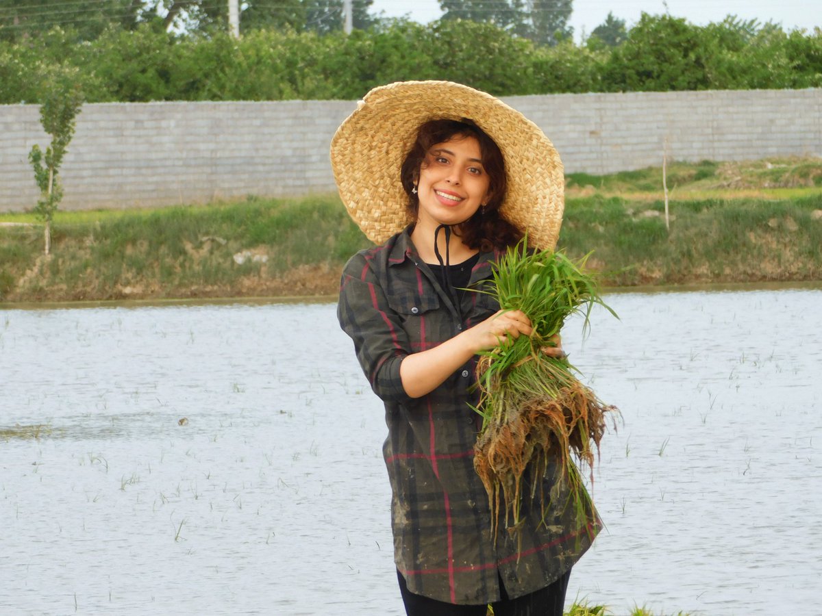 دونه به دونه برنج هایی که براتون ارسال میکنیم خالصه
سورت و الک شده؛ ضایعات نداره
منطقه کشت برنج مون برای بابلسر و فریدونکناره
از طریق سایت سامگل تو گوگل سرچ کنید میتونید سفارشتون رو ثبت کنید.
از یوتیوب ، اینستاگرام ، تلگرام، تیک تاک ، توییتر حتی آپارات هم اکانت داریم.🤍🌾