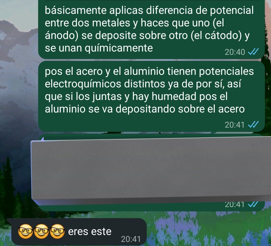 ReloadedJairo's tweet image. Ya no se le puede ni explicar la corrosión galvánica a alguien 🤘😔