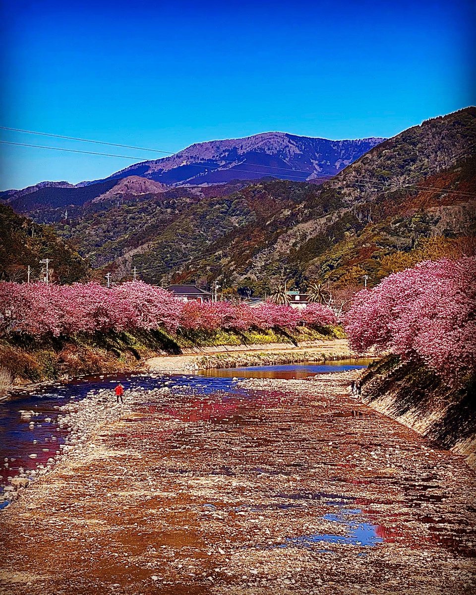 おはようございます😊 2月23日（月） 東京 ︎︎☀️︎︎☁️💧30% 🌡11
