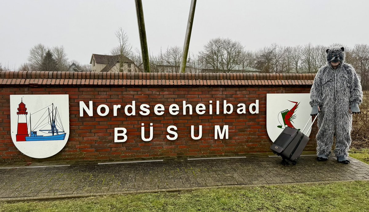 #sonntagsaussenbüro, aktuell sind an der Nordsee keine Schafe auf dem Deich, Gott sei Dank gibts inzwischen wieder ausreichend Krabben zur Überbrückung 🦐🦐🍞 - denn der Wolf schläft nie! 🐺🐺🐺 #wolf