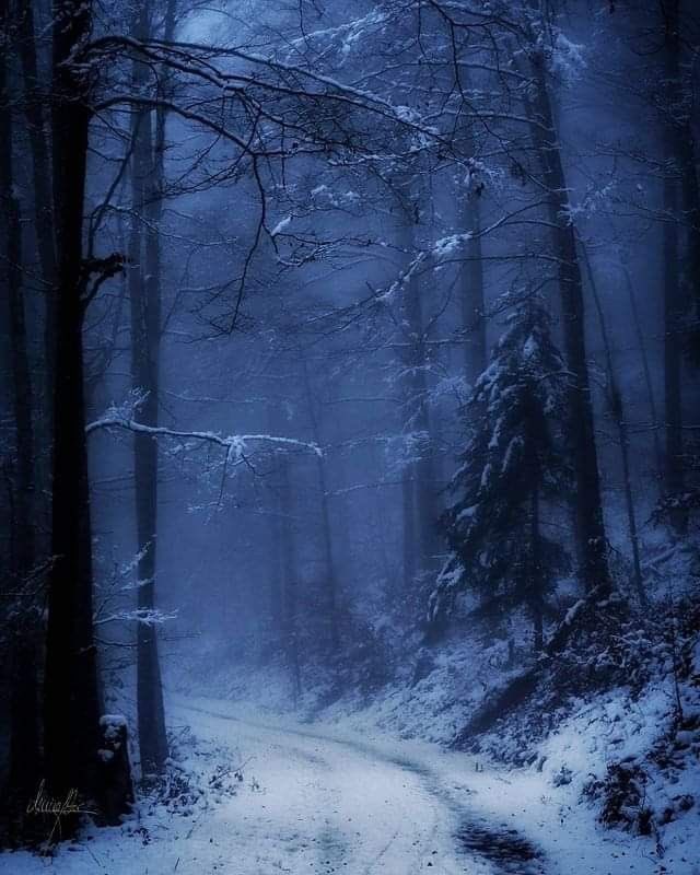 👻 𝘯𝑎𝘵𝑢𝘳𝑒 👻 (@spooky_nature) on Twitter photo 