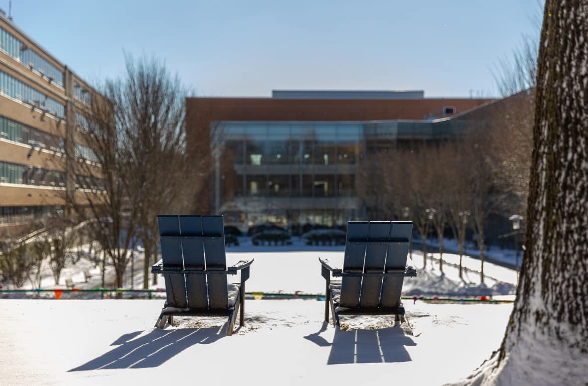 Salem State tweet media