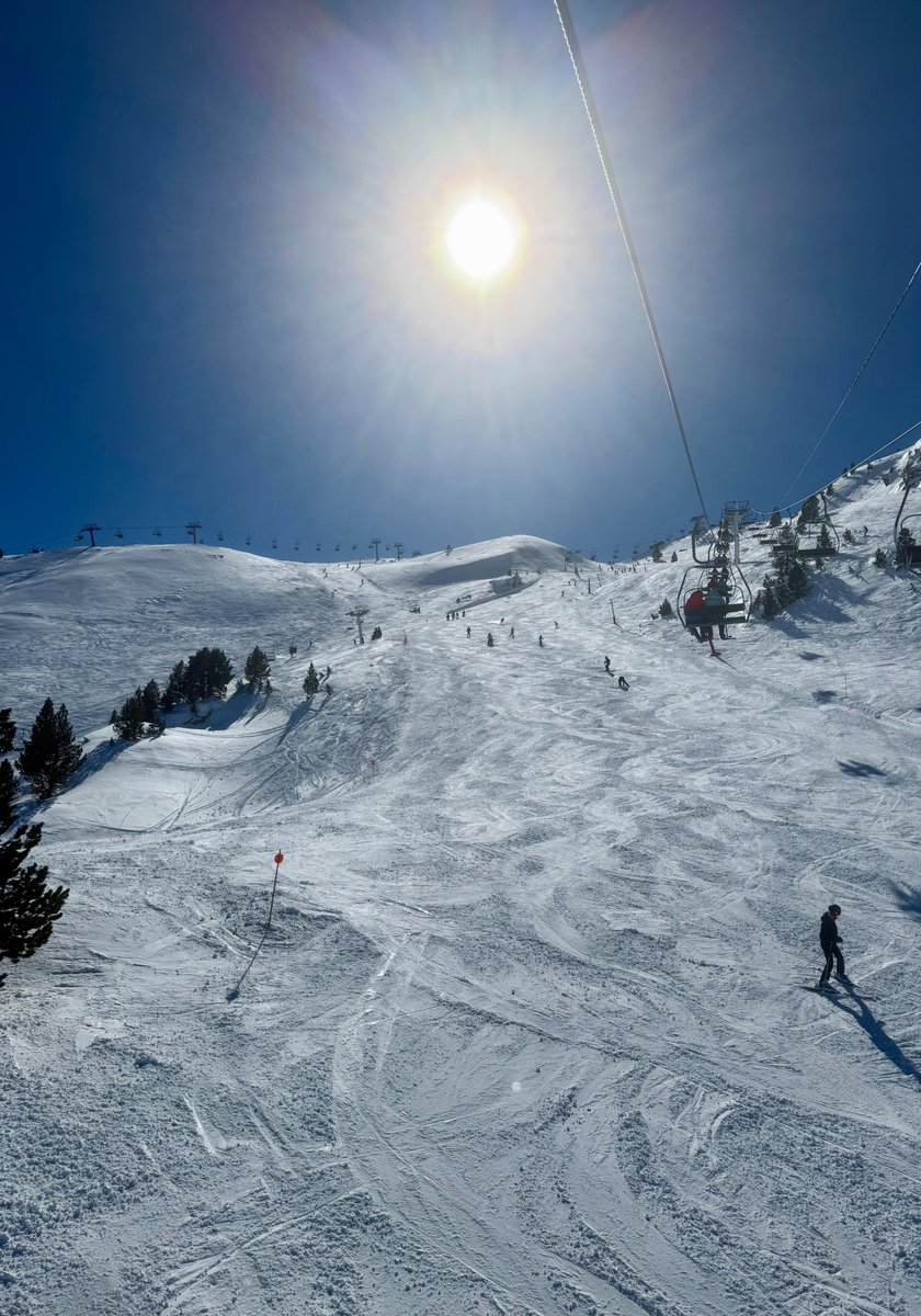 Ricardo Forcano tweet media