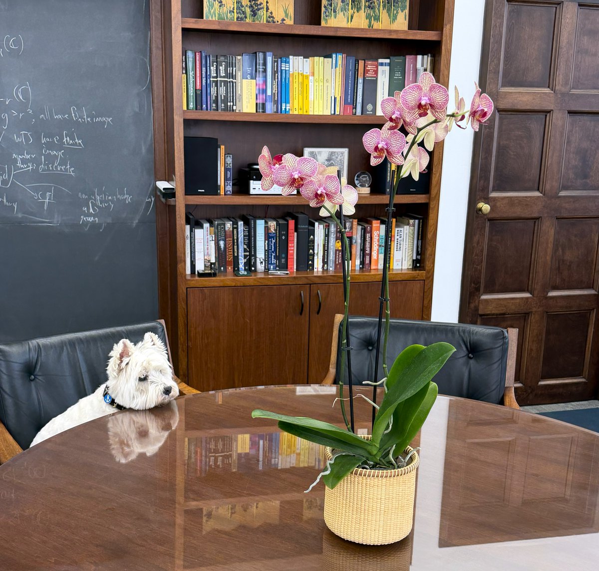 大栗博司 tweet media