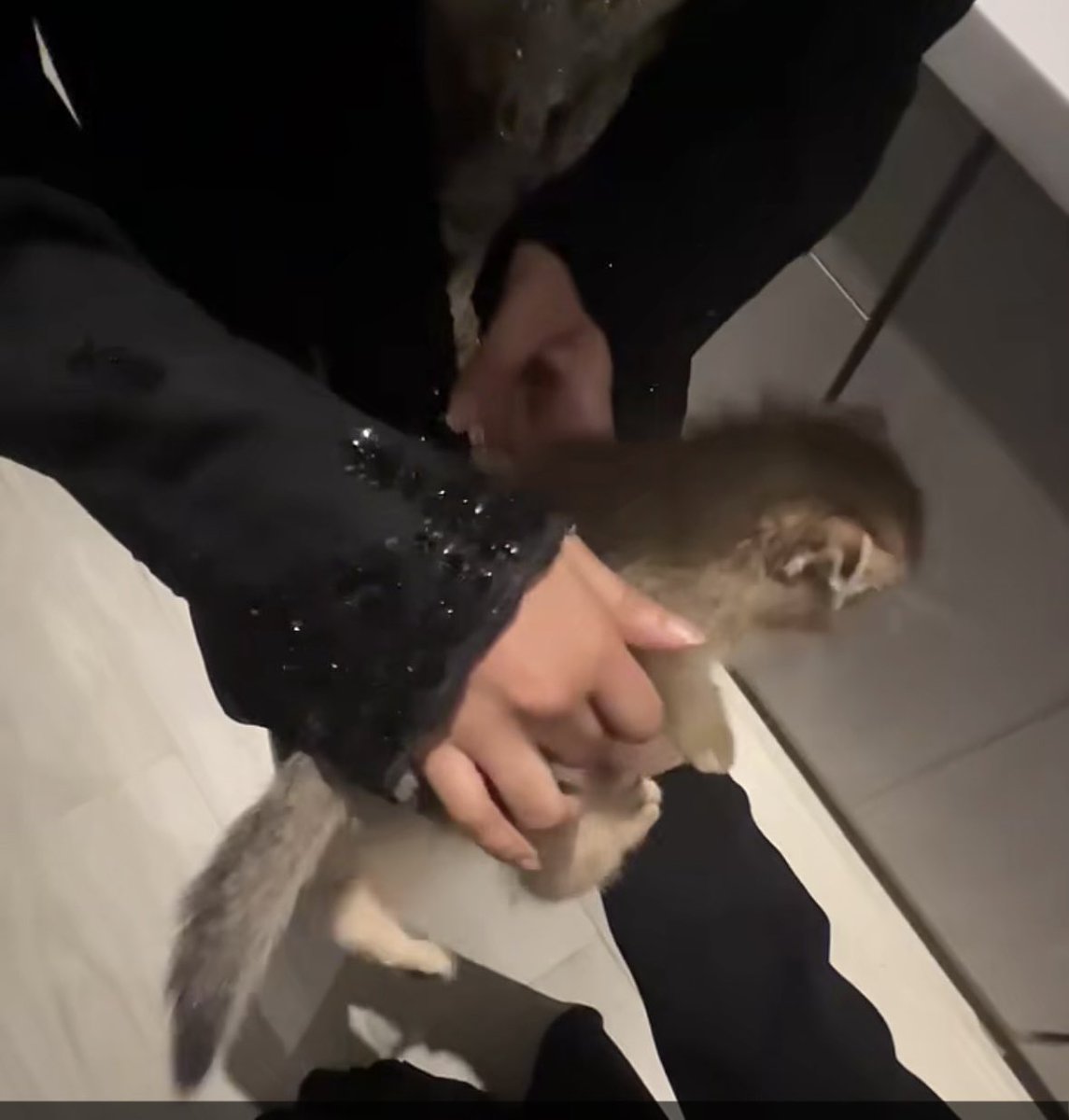 زَيْنَب tweet media