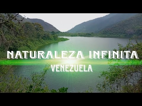 Francisco Rivera Larreal (@larrealrivera) on Twitter photo 