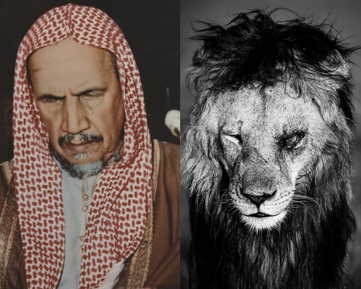 𝐍𝐞𝐫𝐨 نِيرُو tweet media