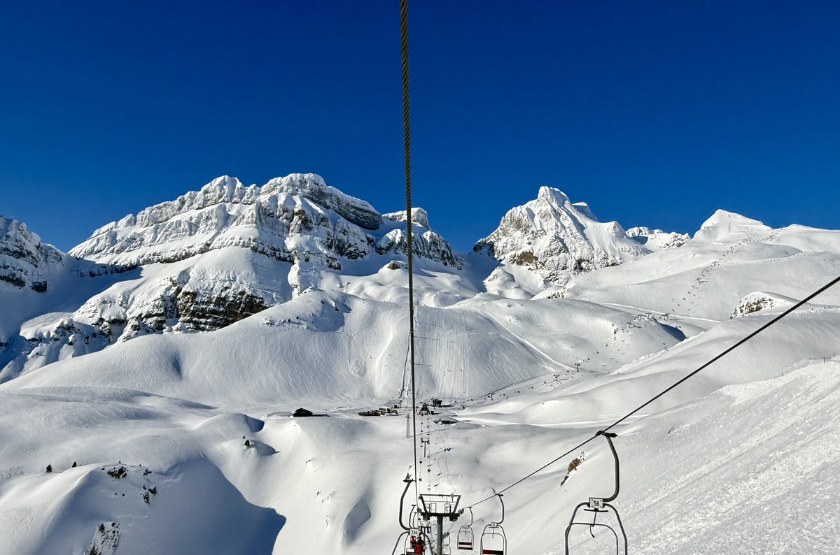 Ricardo Forcano tweet media