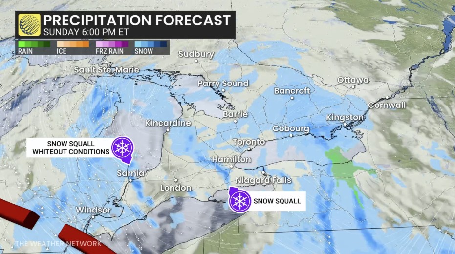 Monster Plowing Company tweet media