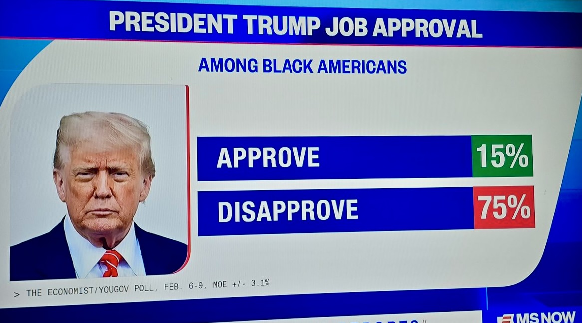 Who the fuck are these 15%?