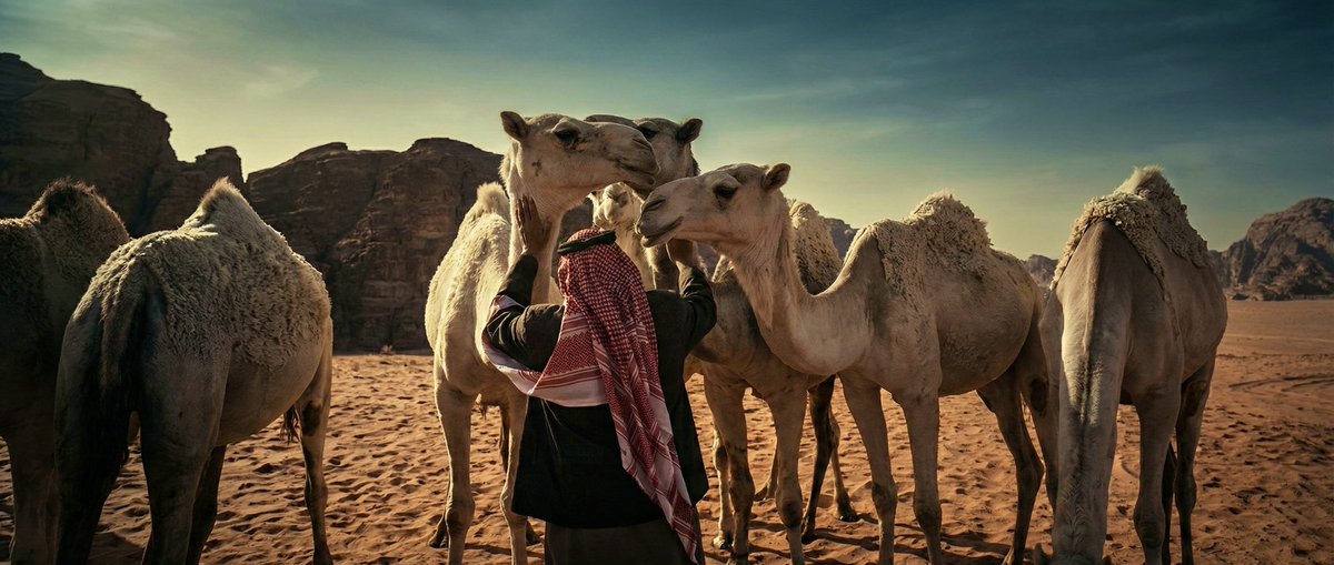 Abdullah Alharthi tweet media