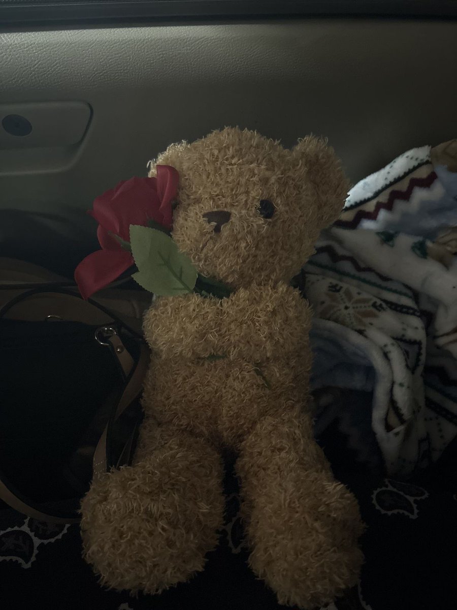 daily teddy bear daniel molloy tweet media