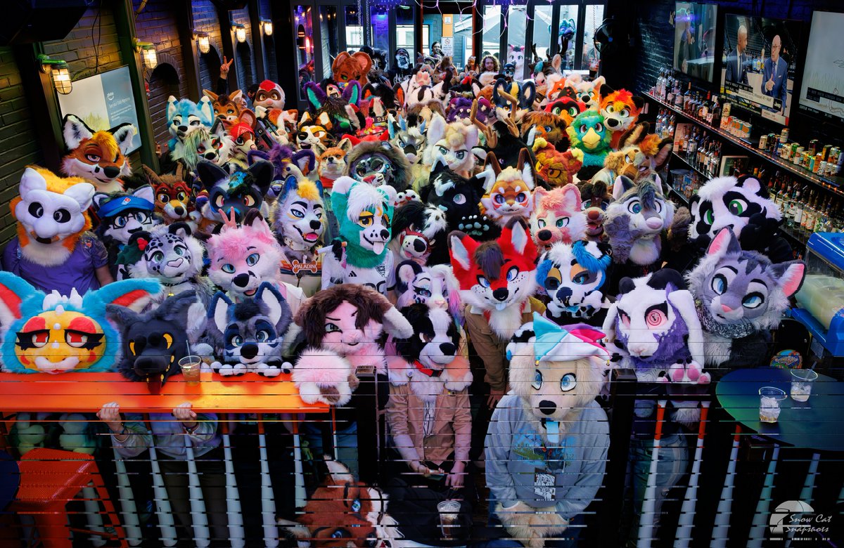 ShadowFox tweet media