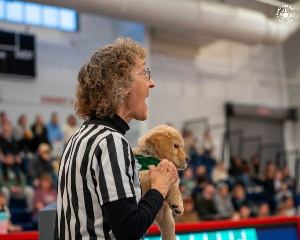 4 Paws For Ability tweet media