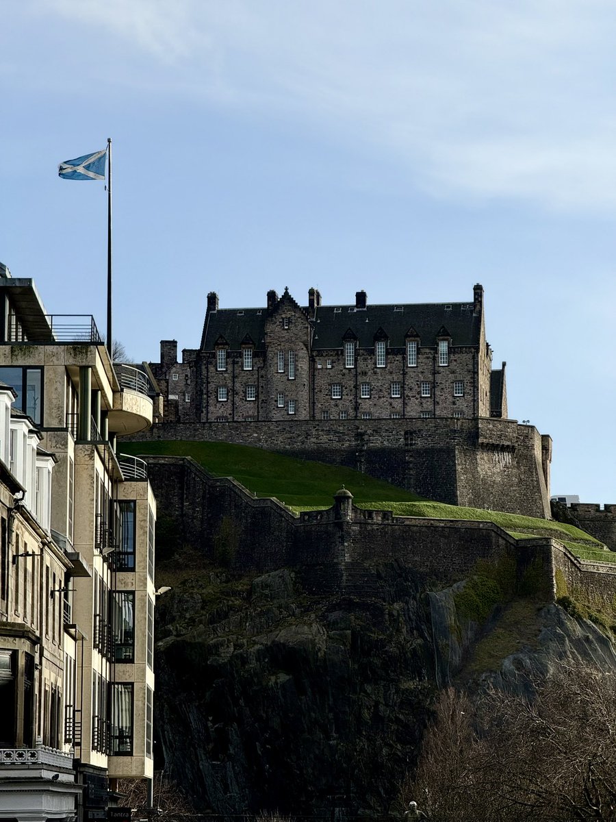 Emerald 🦇🔊🐟 tweet media