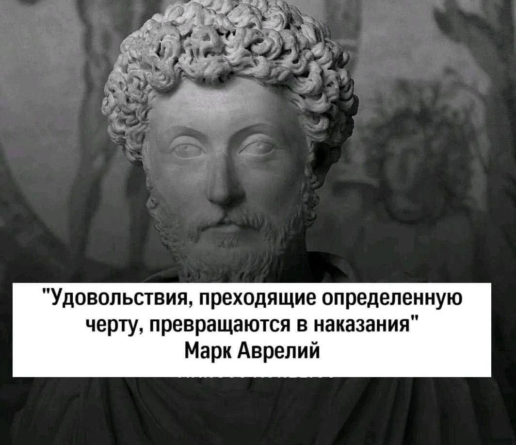 прётолик tweet media