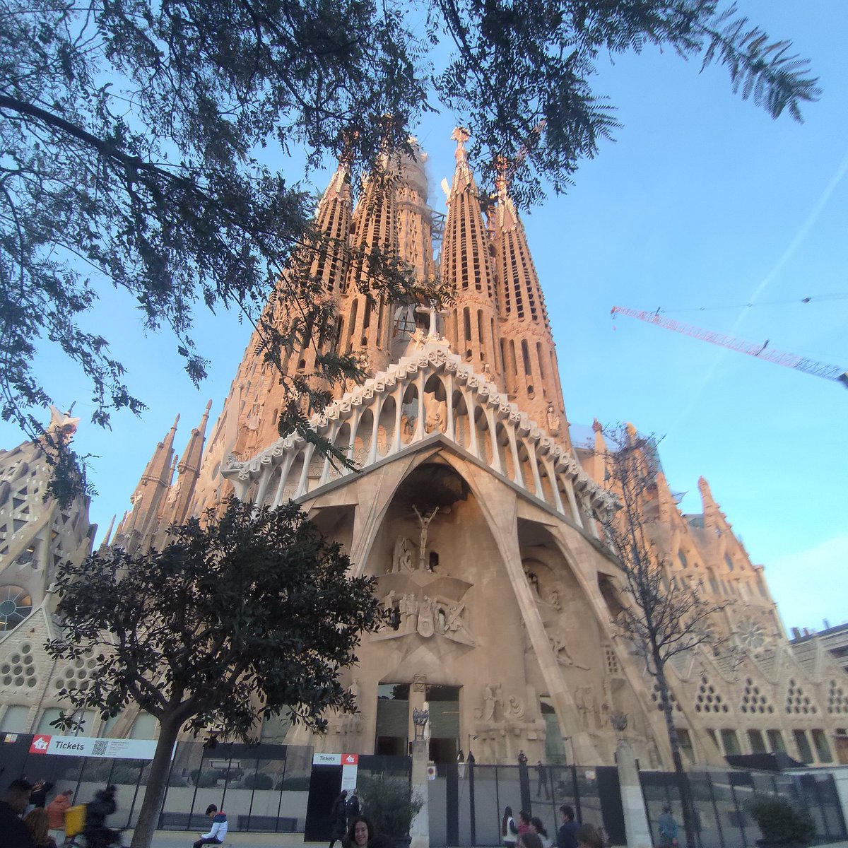 Falcons| AQEEL tweet media