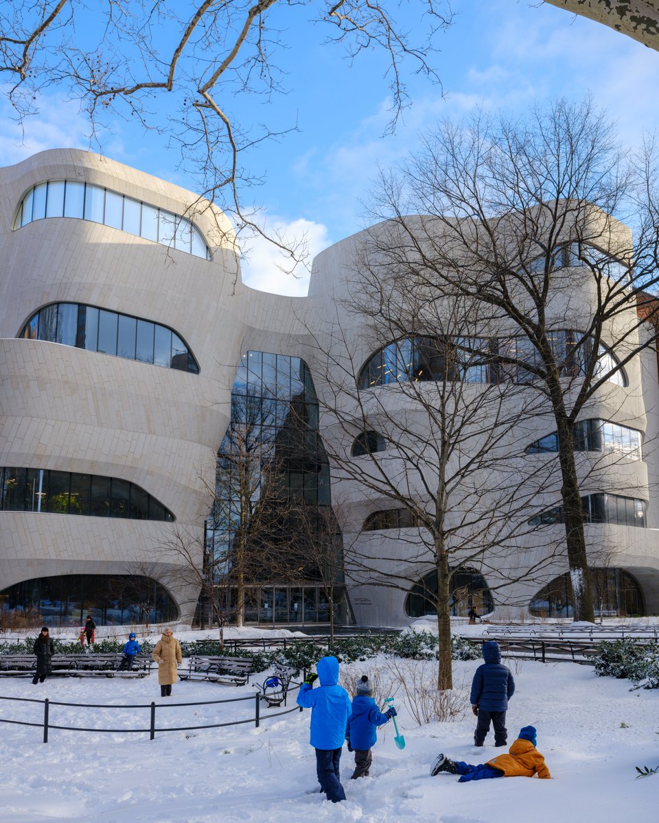 American Museum of Natural History tweet media