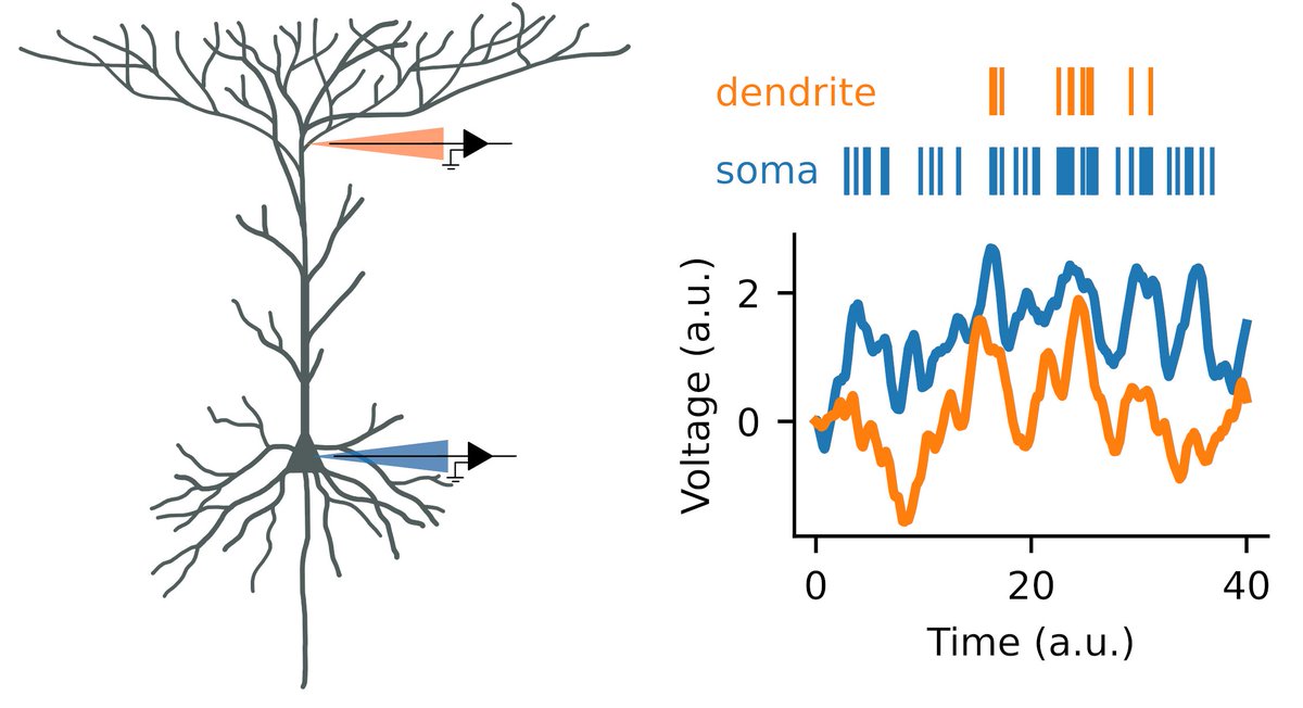 PRX Life tweet media