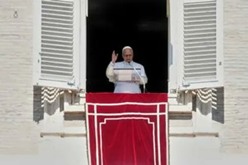 Le Fil Catholique tweet media