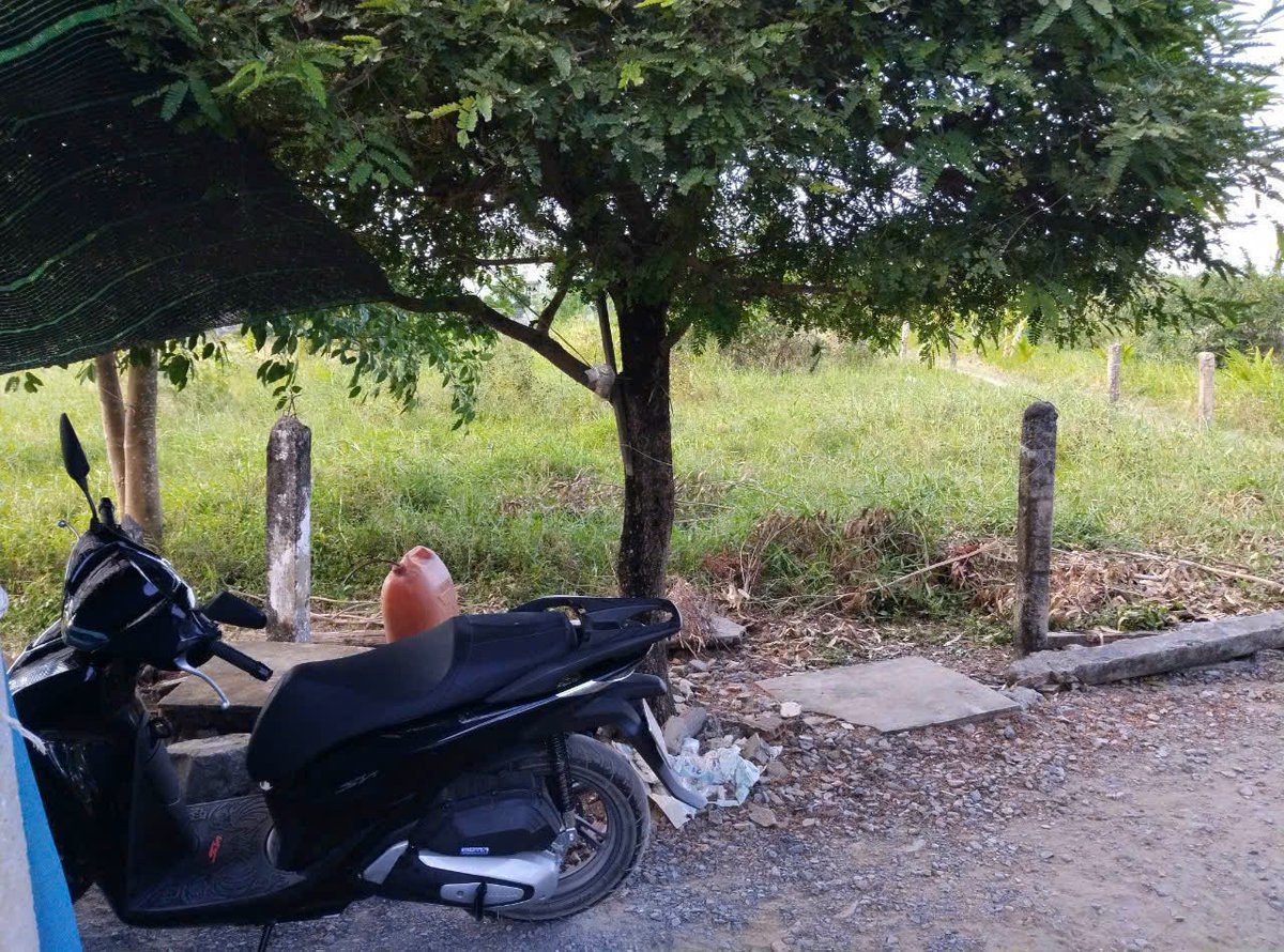 Ước gì