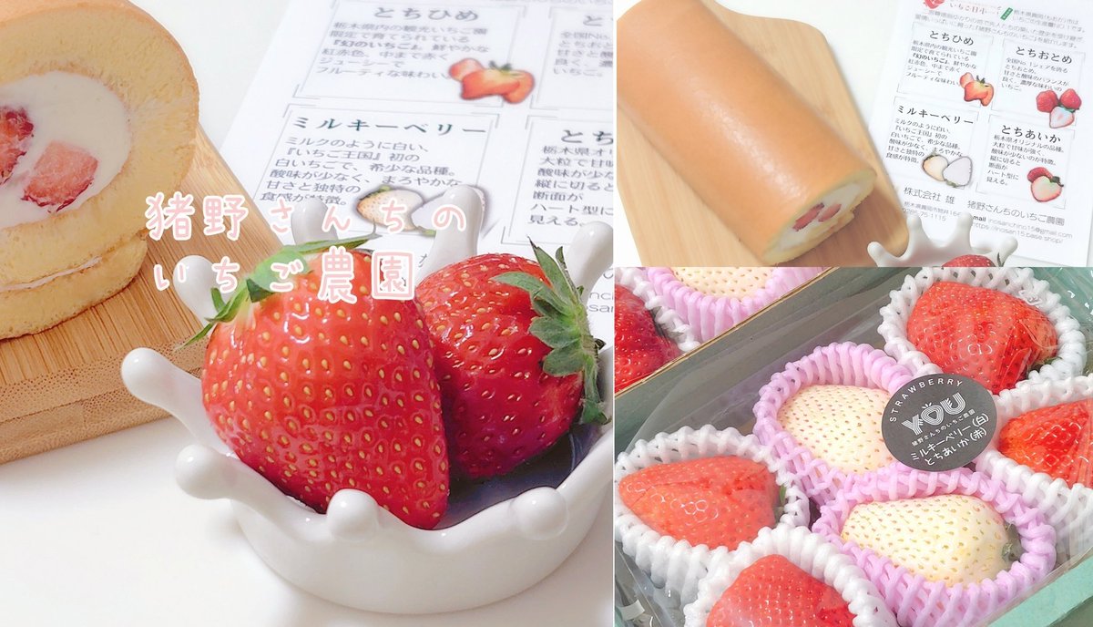 猪野さんちのいちご農園 (@inosanchino15) / Posts / X