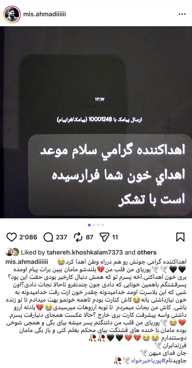 Shahrzad tweet media