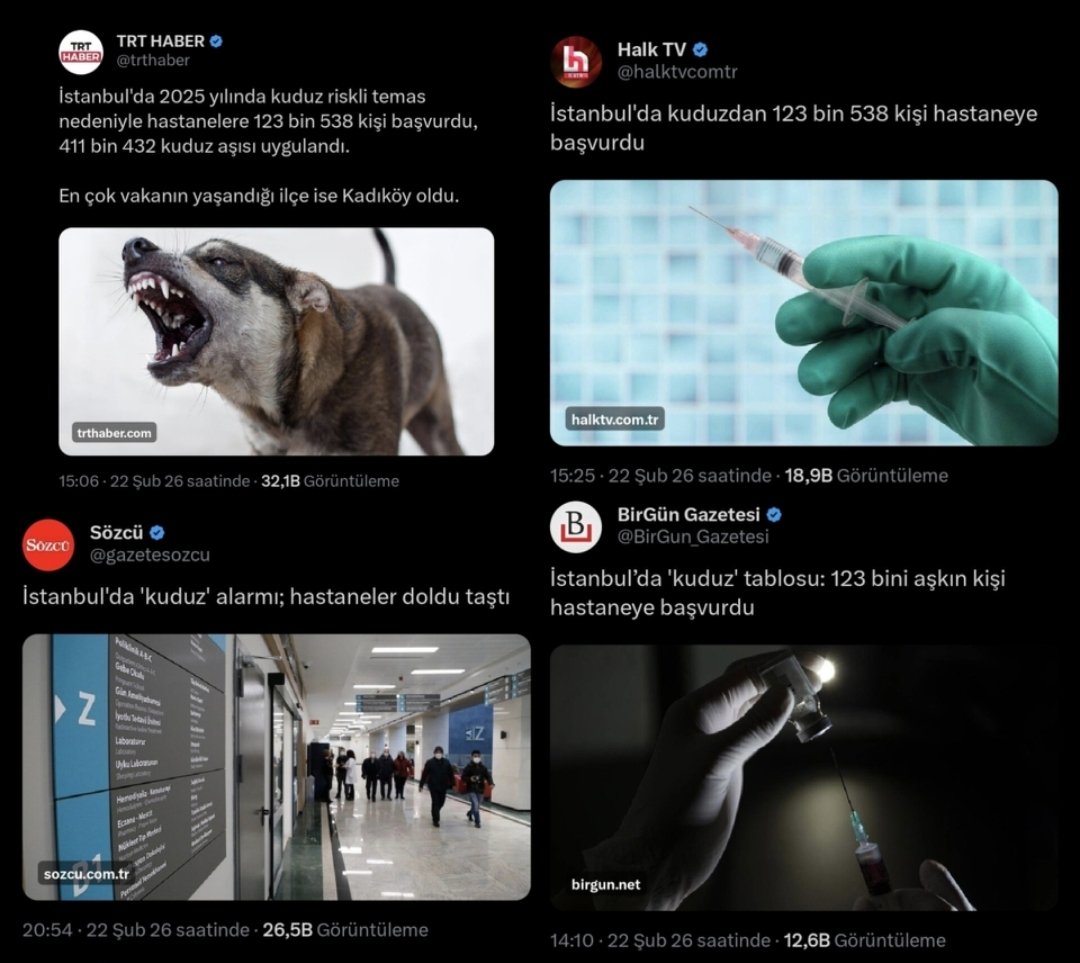 Exim 🐾 tweet media