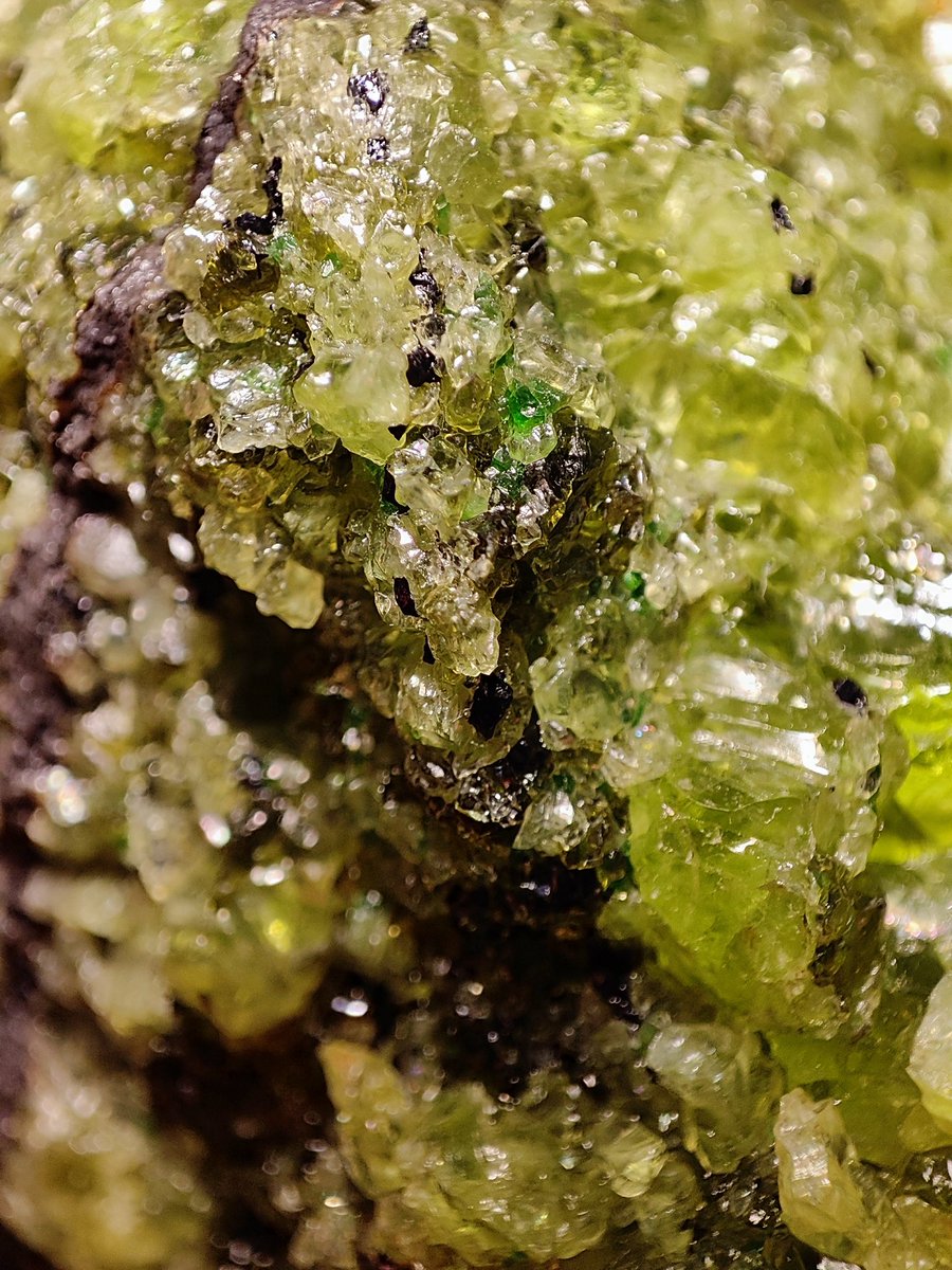 Alicia Giner tweet media