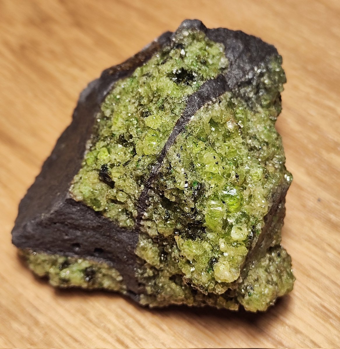 Alicia Giner tweet media