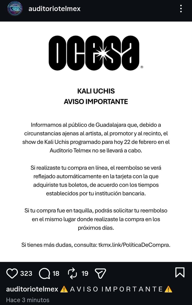 beetlebum tweet media