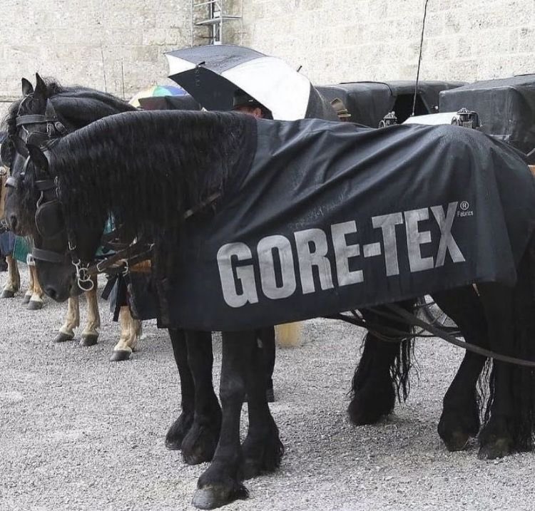 RARE (@shopmegarare) on Twitter photo 