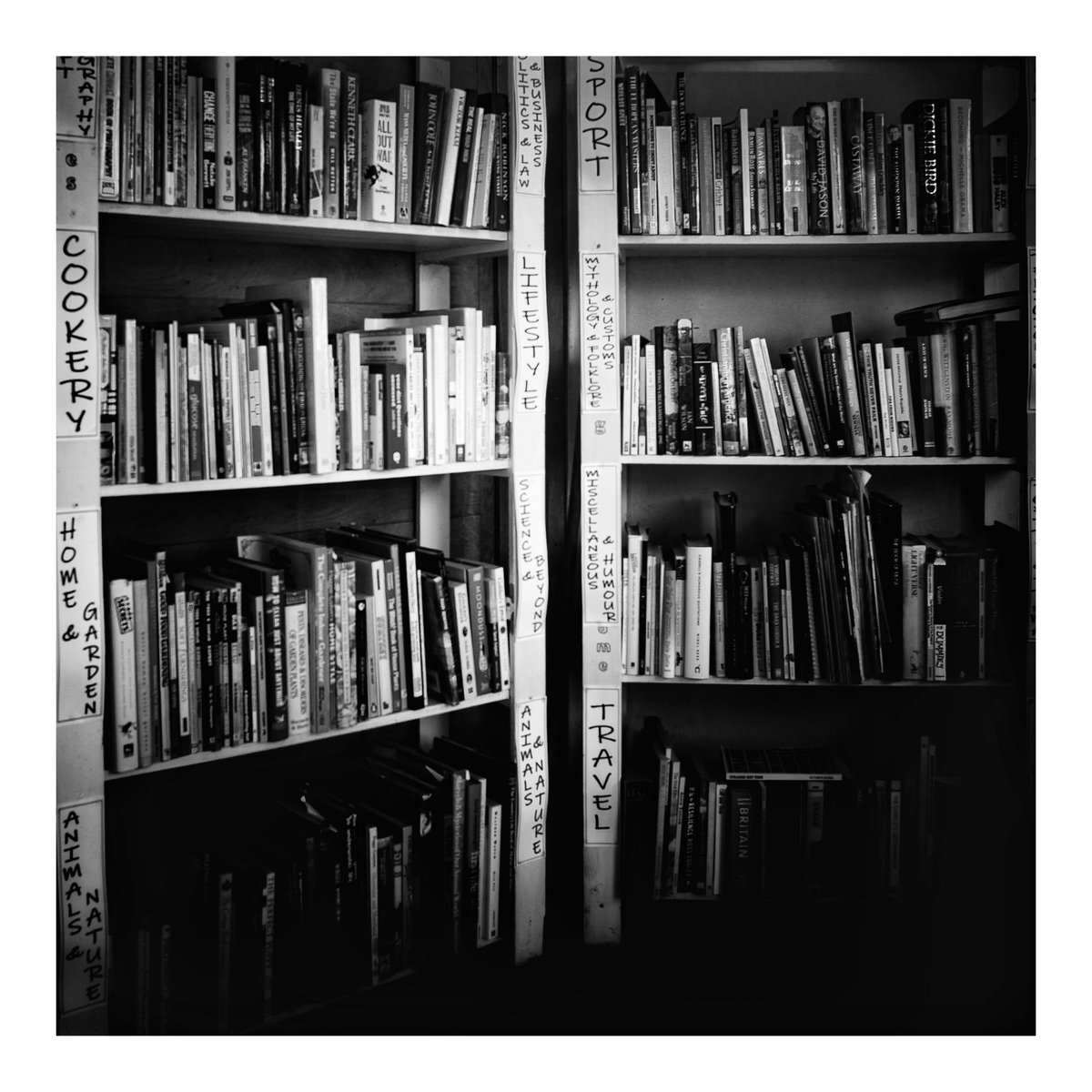 Solivagant tweet media