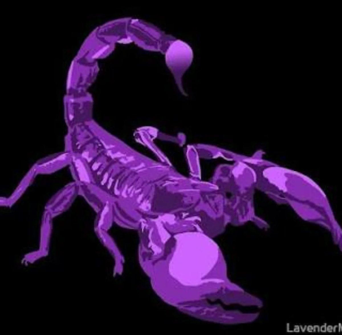 A mi amigo Francisco Javier se lo dije hace mucho tiempo . Traicionó a ⁦<a href="/LeonelFernandez/">Leonel Fernández</a>⁩ que lo llevó a la presidencia. traicionó a Reinaldo , y te traicionará a ti .Alacrán es alacrán . Un traidor por naturaleza.