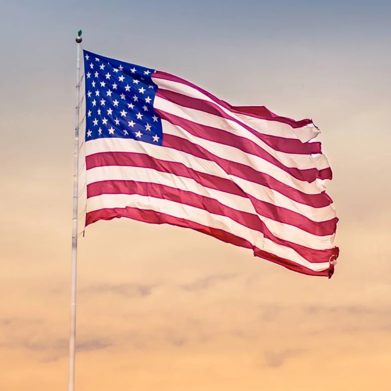 Whale Insider tweet media