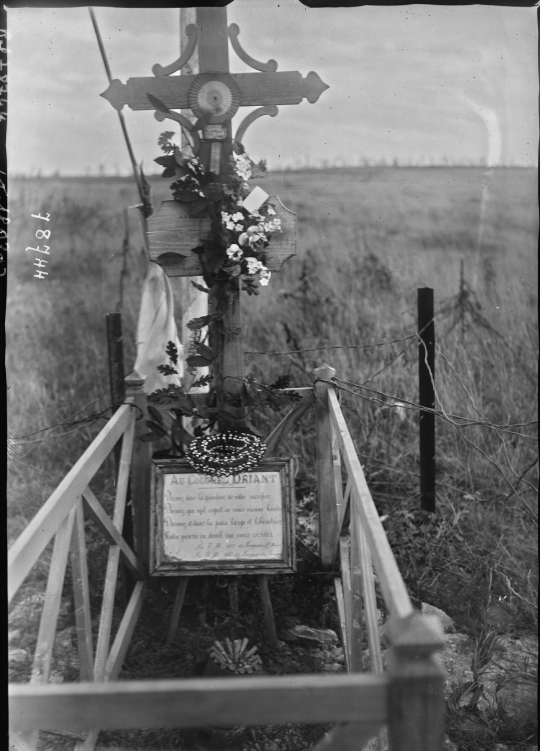 Andy Rawson tweet media