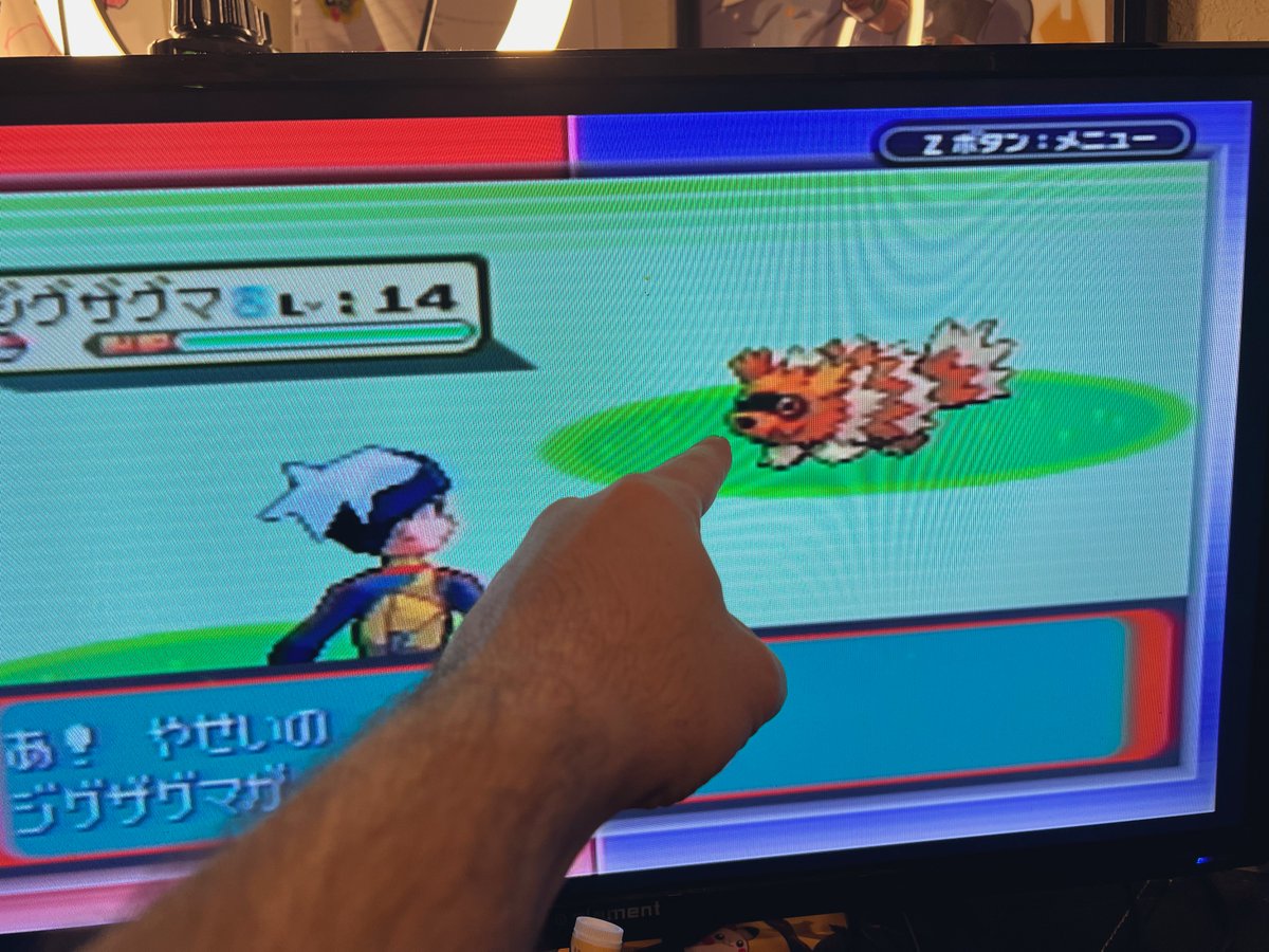 Tales of Taylor 🐧 POKOPIA PRO tweet media