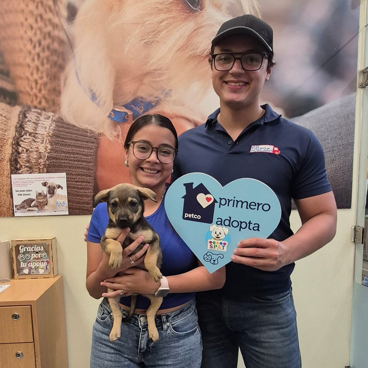 Maya ya tiene un hogar, gracias familia por adoptar! Nos alegra saber que esta pequeña está comenzando una nueva etapa rodeado de amor, responsabilidad y una hermanita que la espera en casa. Disfruta de tu nueva familia pequeña! 🐶🐾💛
 #primeroadopta #petco #tampico <a href="/PetcoMexico/">Petco México</a>