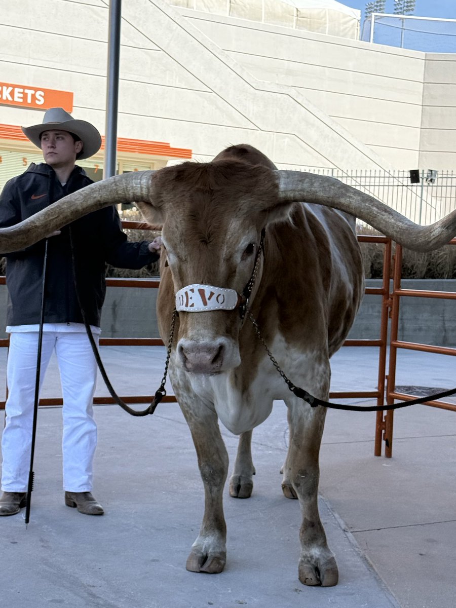 KRogers320's tweet photo. @TexasWBB  Bevo then the best women’s basketball team. What a great way to spend a Sunday! https://t.co/EPWI34RgIr