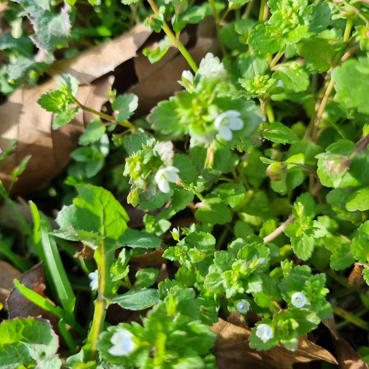 MerielGJones tweet media