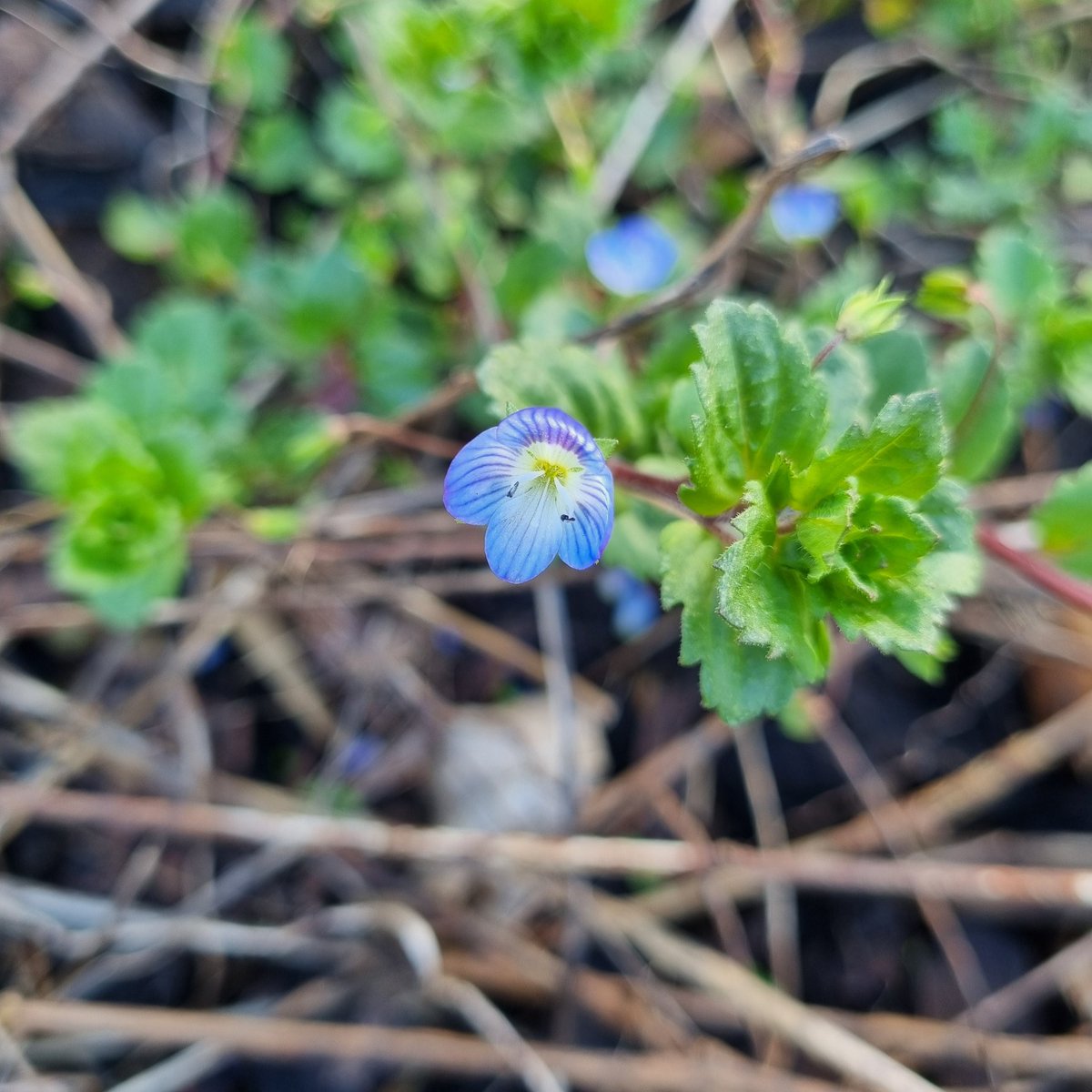 MerielGJones tweet media