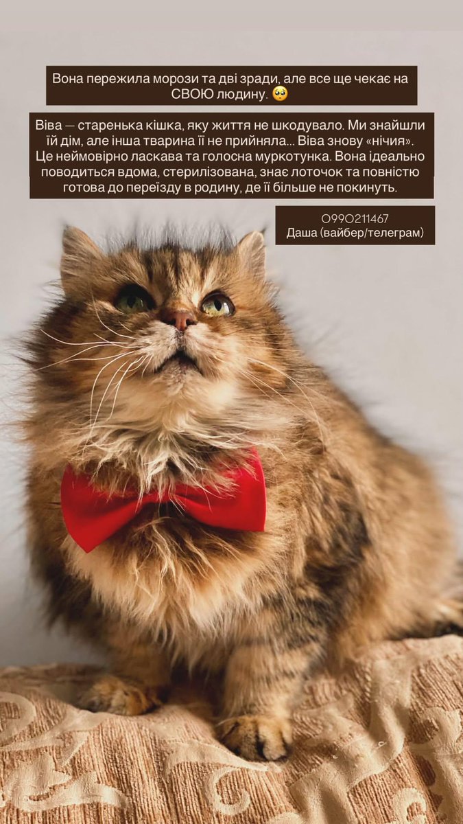 Заберіть до себе в серце❤️❤️❤️❤️