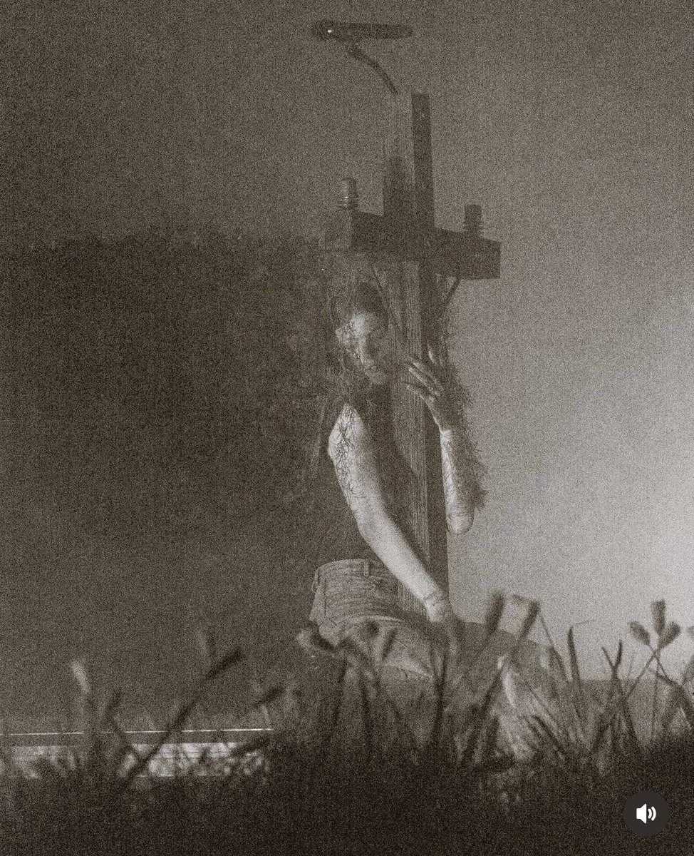 junkmemoir's tweet photo. Favourite picture genre: Hayden and the cross microphone stand https://t.co/0VANXin9Jv
