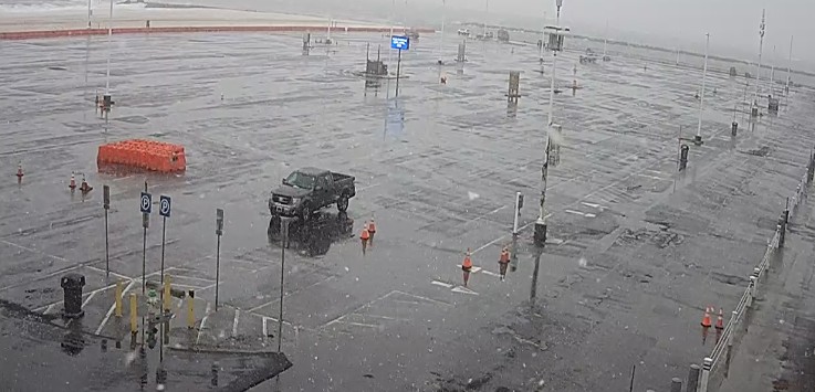 🎠 All Things OC 🎠 tweet media